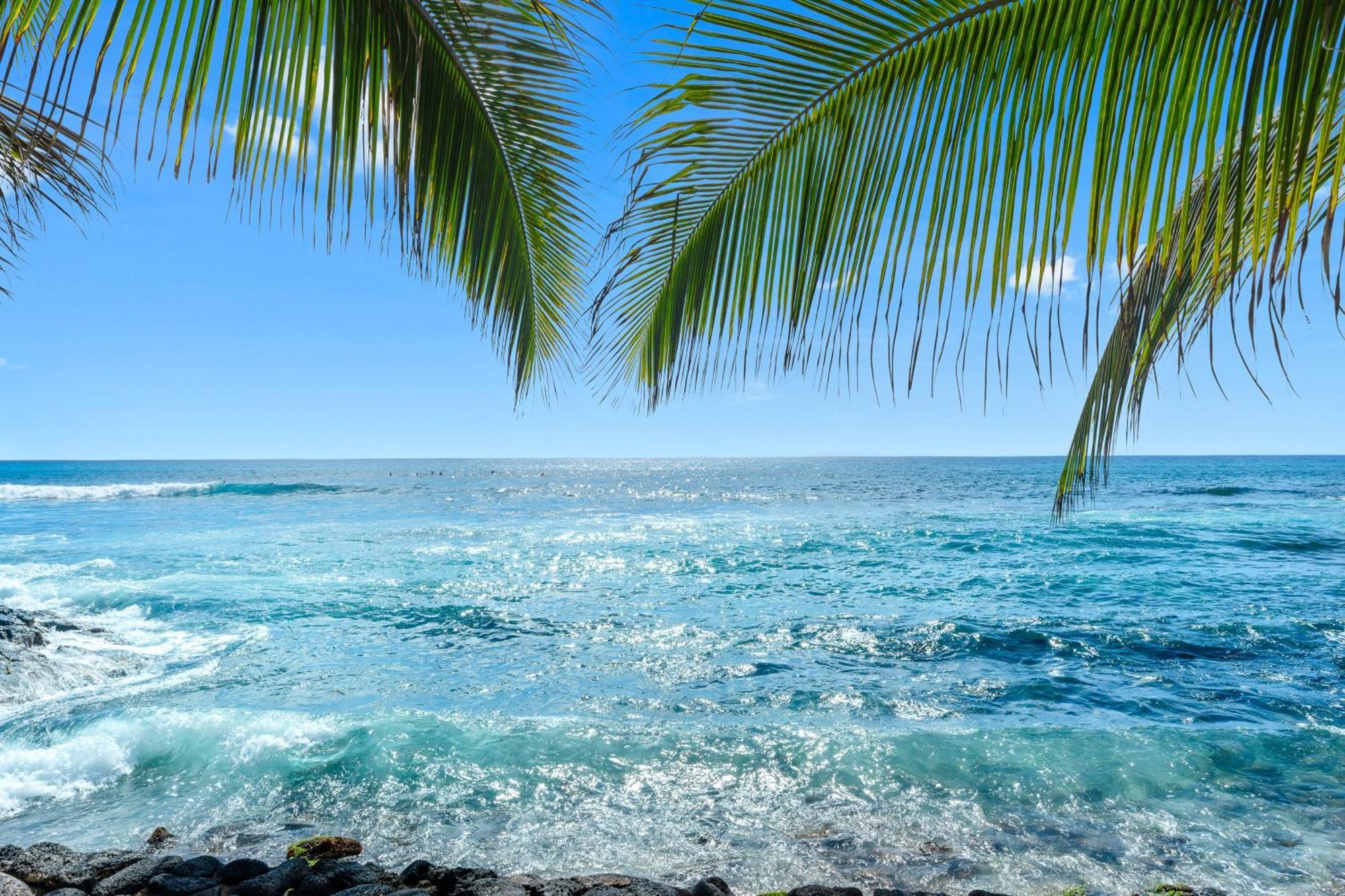 Kona Bali Kai #334 Hotel Kailua-Kona Bilik gambar